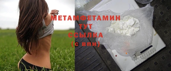 прущие грибы Покачи